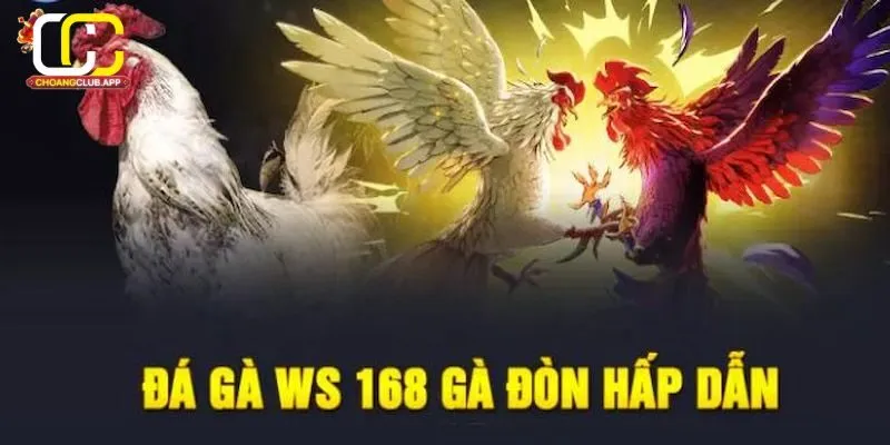 Hướng Dẫn Đăng Ký Và Tham Gia Ws168 Đá Gà Trên Choangclub